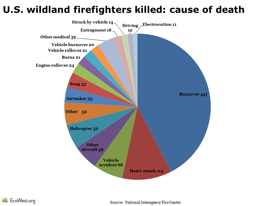 U.S. wildland firefighters killed: cause of death