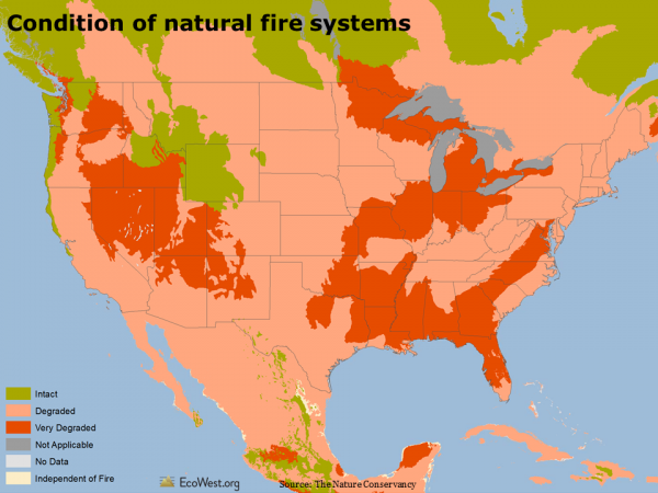 Condition of natural fire systems