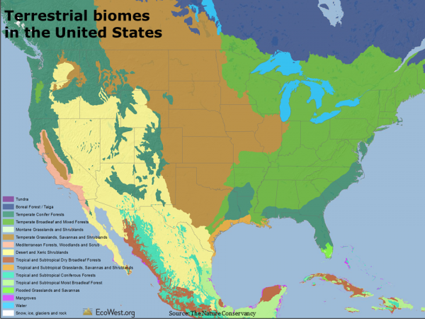 United States biomes
