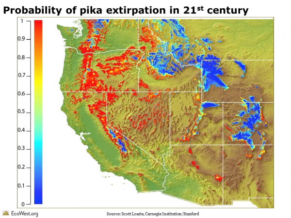 Probability of pika extirpation in 21st century
