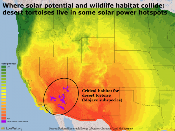 Solar energy potential and desert tortoise habitat